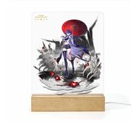 PLAYDOM Honkai:Star Rail Silver Wolf Raiden Firefly Dan Heng Himeko Imbibitor Lunae 3D Anime Night Light Home Room Decor Table Led Acrylic Night Light (Raiden)