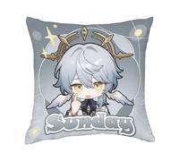 PLAYDOM HonKai Star Rail Sunday Throw Pillow Decor 18 * 18 inch For Home Sofa Bedding (B)