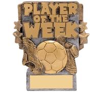 Player of the Week Trophy Award Player of the Match Trophy Award Various Options Free Engraving GOOD (105mm - Player of the Week)