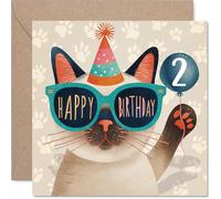 Playful 2nd Birthday Card - Sunglasses on, Party Hat Ready - Whimsical Cat Celebrates in Bright Blue, Pink and Orange - 145mm Square, Envelope Included