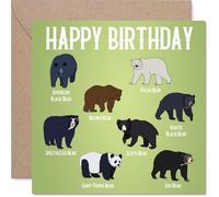 Playful Birthday Card - Bear-y Cheerful Vibes - Quirky Bear Illustrations on a Vibrant Green Backdrop - Sure to Spark a Grin on Their Big Day - 145mm Square, Envelope Included