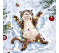 Playful Kitten with Robin - Pack of 5 Cute Cat Charity Christmas & Happy New Year Cards with Envelopes - 14x14cm - Eco-Friendly & Recyclable