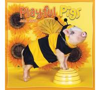 Playful Pigs Calendar 2026, Wall Calendars, Month To View, Animals, Gift