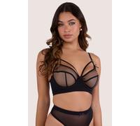 Playful Promises Josie Black Mesh D+ Bra - Black - 36DD