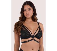 Playful Promises Tabitha Dark Green Wet-Look Lace Plunge Bra - Dark Green - 42F