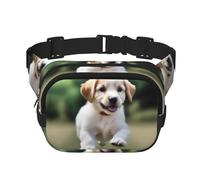 Playful Puppy Square Double-Layer Waist Bag with Adjustable Strap for Outdoor Activities, Black, One Size