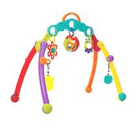 Fold and Go Playgym