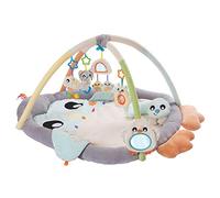 Playgro play and crawling mat with play arch, Penguin, suitable for newborns, 40220, in multiple colours