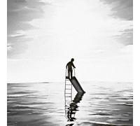 Playground In A Lake