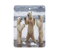 Playing Bears Car Aromatherapy Tablets Air Freshener Hanging Scented Cards for Rooms Bathrooms Wardrobe Square