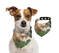 Playing Chihuahua Pattern,Pet Bib Scarf Cats Dog Bandana Dogs Towel Bib Adjustable Pet Scarf,L