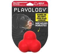 Playology Dog Toys | Squeaky Bounce Ball for Dogs - Bounces in Unpredictable Ways | Medium Beef Scented Toy - Easy to Clean and Made from Non Toxic Materials