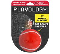 Playology Squeaky Dog Ball - Dog Toys for Medium Dogs (15-30 lbs) - Natural Beef Scent, Tough Tennis Ball Style For Aggressive Chewers - 1 Red Chew Ball