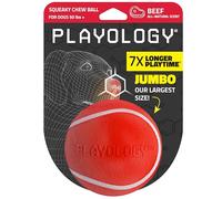 Playology Squeaky Chew Ball for Dogs | Engaging All-Natural Beef Scented Toy for Large to X-Large Dogs 50lbs & up | Squeak, Fetch, and Play