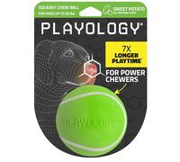 Playology Squeaky Dog Toy | Durable Rubber Interactive Dog Ball | Sweet Potato Scented Fetch Ball for Medium Dogs | Floating Dog Toy Made from Non Toxic Materials