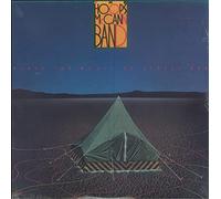 Plays The Music Of Steely Dan [Vinyl LP]