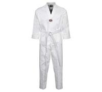 Playwell Elite Korean Taekwondo Uniform White V Neck With Back Embroidery (5/180cm)