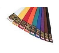 Playwell Martial Arts Solid Coloured 100% Cotton Grading long size Belts 340cm (brown)