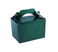 Playwrite Plain Treat Box in Green Playwrite Green