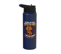 Please Do Not Disturb School Exam Learning Stainless Steel Insulated Water Bottle