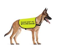 Please Don’t Pet I'm a Little Anxious Dog Jacket Vest Anxious Dogs Walking Slogan Warning Vest (Little Anxious Large)