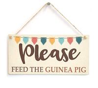 Please Feed The Guinea Pig - Helpful Reminder Handmade Wooden Sign/Plaque Colourful Bunting Design