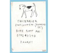 Please Look in the Basement