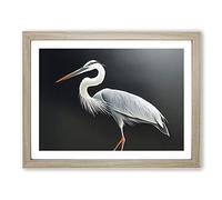 Pleasing Heron Bird Framed Print | A2 Oak Framed Wall Art | Ready to Hang | Modern Animal Picture | Living Room Bedroom Lounge Office