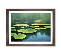 Pleasing Pond Framed Print | A4 Walnut Framed Wall Art | Ready to Hang | Modern Nature Picture | Living Room Bedroom Lounge Office