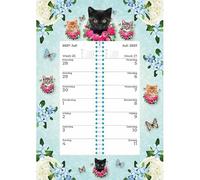Plenty Gifts Cats Blue Weekly Calendar 2027