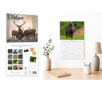 Plenty Gifts De Veluwe 2027 Wall Calendar, Monthly Calendar, 16 Months, 30 x 30 cm