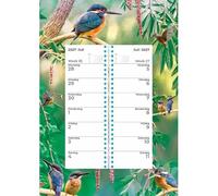 Plenty Gifts Kingfisher Weekly Calendar 2027