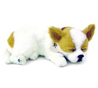Plenty Gifts 4906 Perfect Petzzz Soft Chihuahua (Tan & White), Solid, Universal, Standard Size