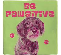 Plenty Gifts Personalised Plaque - Be Pawsitive Dachshund - Decorative Tile for Dachshund Owners - 15 x 15 cm