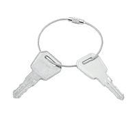 PLENTZOM Ignition Key 1115-500016-00 111550001600 Compatible with Big Joe EP Electric Pallet Jacks E30 EZ30 EPT20-15ET JX1 JX2 (2)