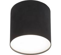 PLEXI M BLACK & WHITE CEILING LIGHT SPOT NT 1X POINT 6526