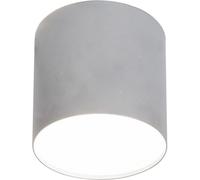 PLEXI M SILVER/WHITE CEILING LIGHT SPOT NT 1X POINT 6527
