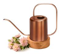 68 oz Rose Gold Metal Watering Can Indoor Plants - Stainless Steel Long Spout Watering Can Outdoor - House Plant Watering Can Large for Flower, Garden