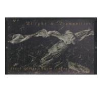 Plight And Premonition