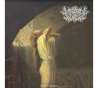 The Mosaic Window Plight of Acceptance (CD)