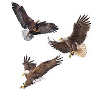 PLIGREAT 3 Pcs Flying Bald Eagles Birds Wall Stickers, Removable Vinyl Peel and Stick Wall Decals for Nursery Bedroom Study Living Room Playroom Wall Decorations Office Home DIY Wall Art Decor