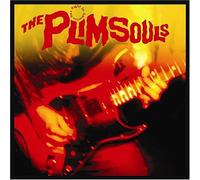 Plimsouls - One Night In America