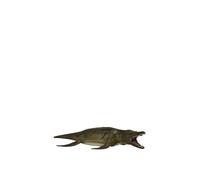 Pliosaurus Dinosaur Toy CollectA Dark Green One Size