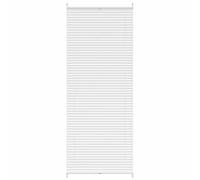 Plisse Blind Pleated Roller Window Blind Window Sunscreen Curtain Shade vidaXL