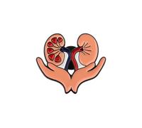 PLITI Kidney Enamel Pin for Medical Student Doctor Nurse Urology Nephrology Kidney Transplant Gift Renal Nephrologist Gift, M, Stainless Steel, no gemstone