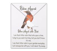 PLITI Memorial Gift Sympathy Gift Bereavement Gift Remembrance Gift Condolence Gift Robin Bird Necklace For Loss Of Loved One, M, Stainless Steel, No Gemstone