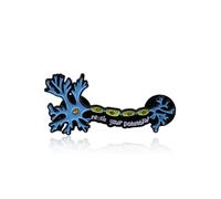 PLITI Neuroscience Gift Neurologist Gifts Brain Cell Gift Reach Your Potential Neuron Brooch Pin For Science Lover, M, Stainless Steel, no gemstone