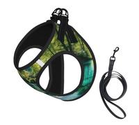 Plitvice Lakes National Park Print Dog Harness Adjustable Walk Puppy Harnesses Leash Clips Pet Harnesses Training Pet Vest