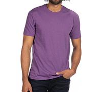 Pliuegy N6210 Next Level Men's CVC Crew T-Shirt X-Large Avalanche Purple