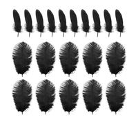 PLLDVEFD 10 Pieces Of Ostrich Feathers And 10 Pieces Of Goose Feathers, Black Feathers, Handmade Feathers, Feather Ornaments.